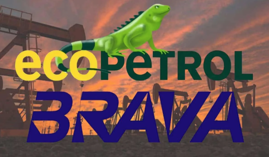 Ecopetrol negocia con Brava Energía