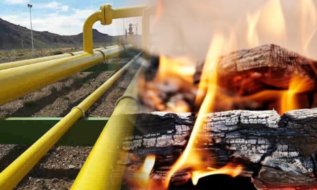 El Gas Natural Importado   ¿El retorno al Carbón y la Leña?