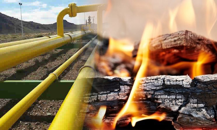 El Gas Natural Importado   ¿El retorno al Carbón y la Leña?